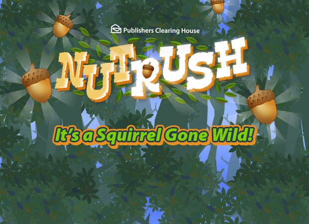 Play Nut Rush online for free at PCHgames